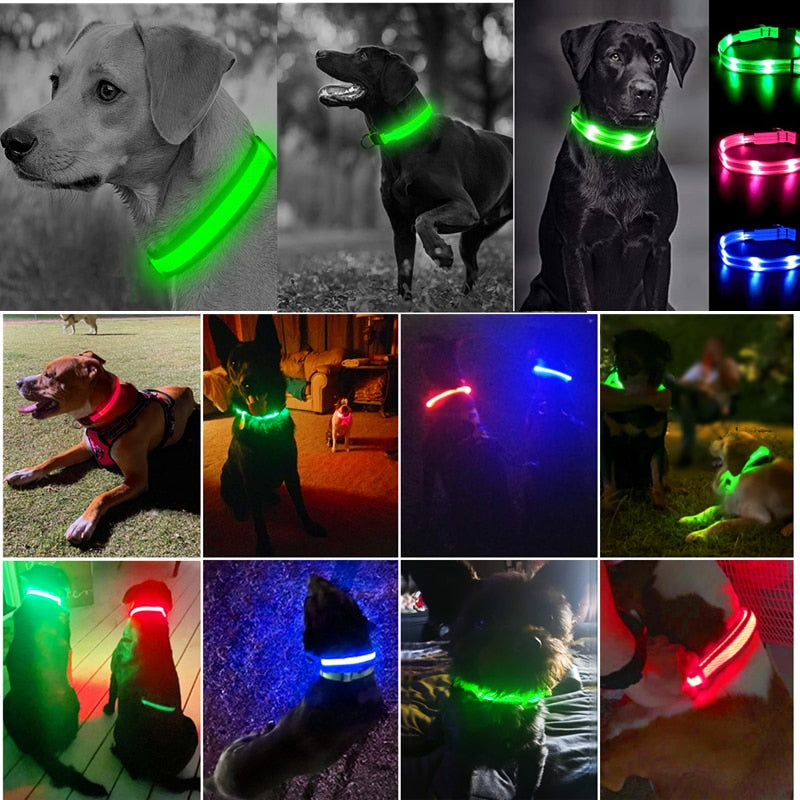 COLLAR CON LUZ LED  🐶🐱 | EN OFERTA 🔥