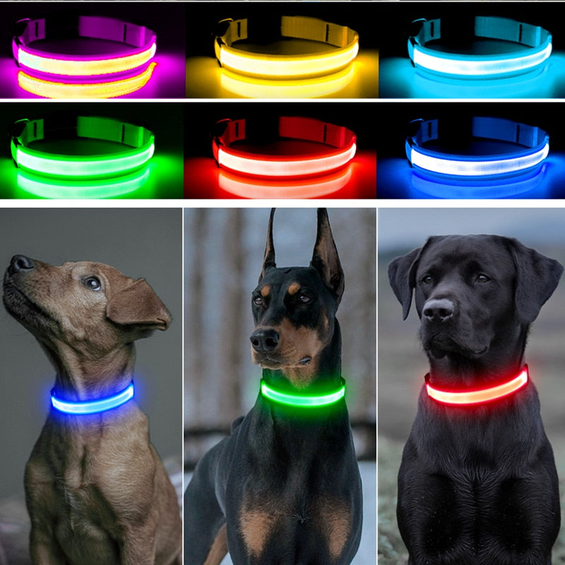 COLLAR CON LUZ LED  🐶🐱 | EN OFERTA 🔥