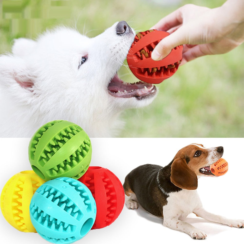 PELOTA JUEGO Y LIMPIEZA PARA MASCOTAS 🐶⚾🦷